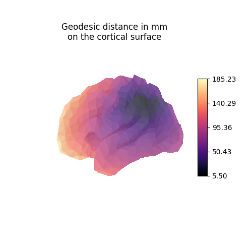 Geodesic distance in mm on the cortical surface