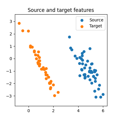 Source and target features