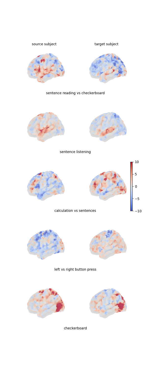 plot 2 aligning brain sparse