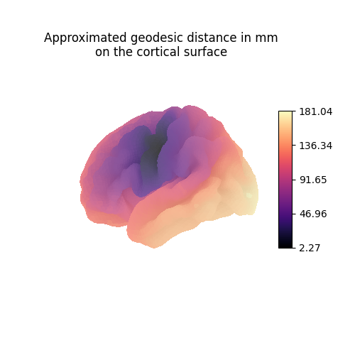 Approximated geodesic distance in mm on the cortical surface