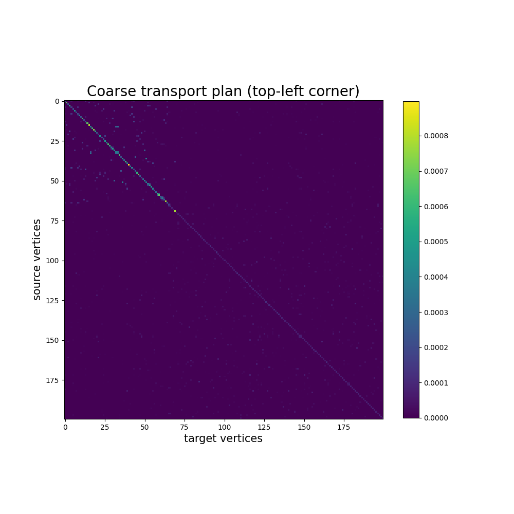 Coarse transport plan (top-left corner)