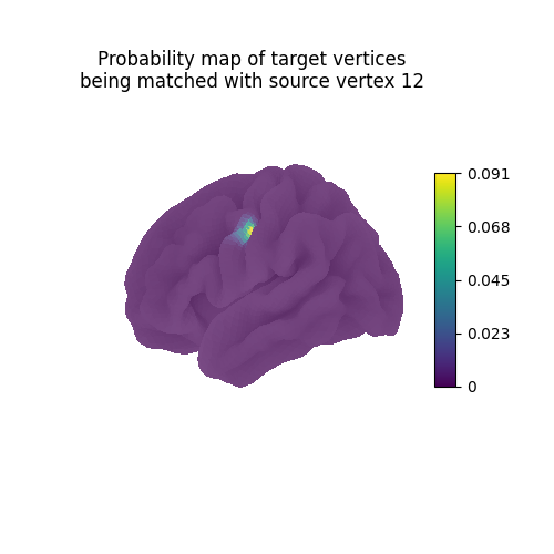 Probability map of target vertices being matched with source vertex 12