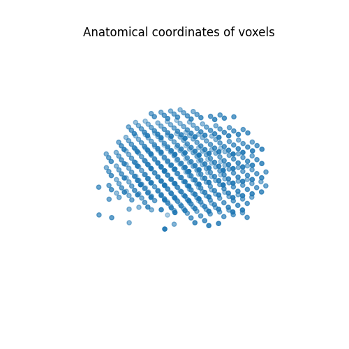 Anatomical coordinates of voxels