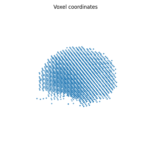 Voxel coordinates