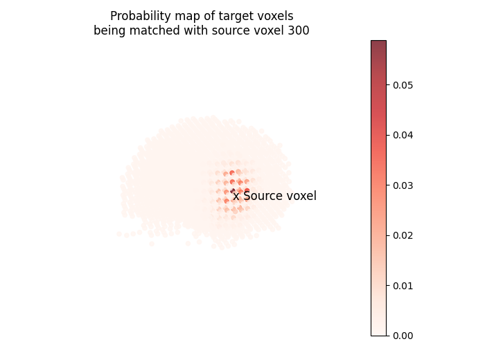 Probability map of target voxels being matched with source voxel 300